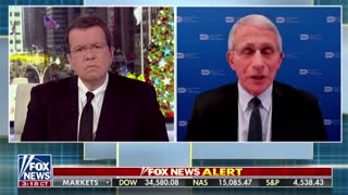 Fauci on COVID testing for illegal immigrants