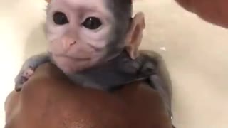 A monkey taking a shower