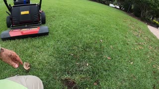 Sodding My Lawn During A Hurricane