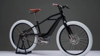 HARLEY DAVIDSON electric bicycle