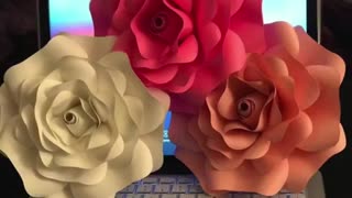 DIY how to make paper flowers Using Cricut creator. Card stock