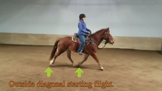 Canter Departure Educational Video