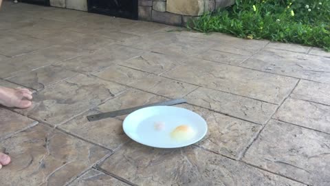 HOW TO MAKE AN EGG BOUNCE WITH VINEGAR - Ty The Hunter