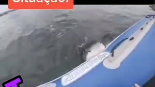 Shark attack 2021