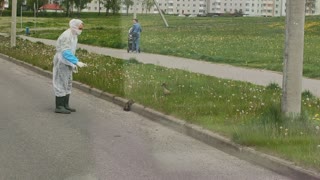 Medical Worker Helps Ducks Cross the Road