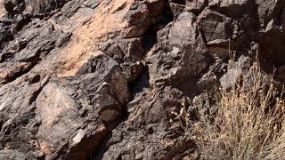 Video 2 of Petroglyphs