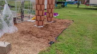 Garden Progress!