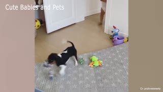 Adorable Babies Playing With Dogs Baby and Pet Video👶vs🐶