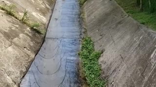 Sliding down Drain with Surprise Speed