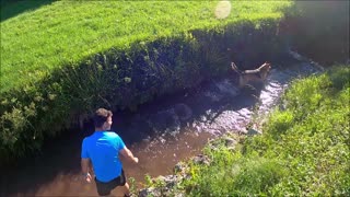 Funny Video Man Playing With His Dog In The Stream