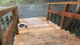 Montreal Just Experience A Little Hail Storm (VIDEO)