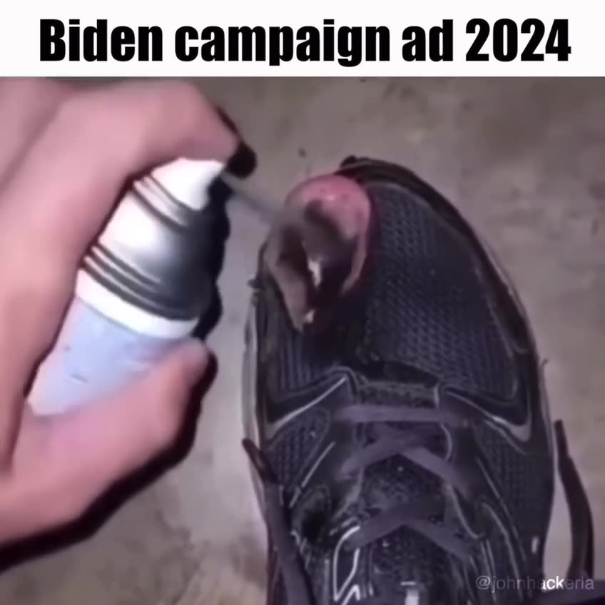 Biden Campaign ad 2024