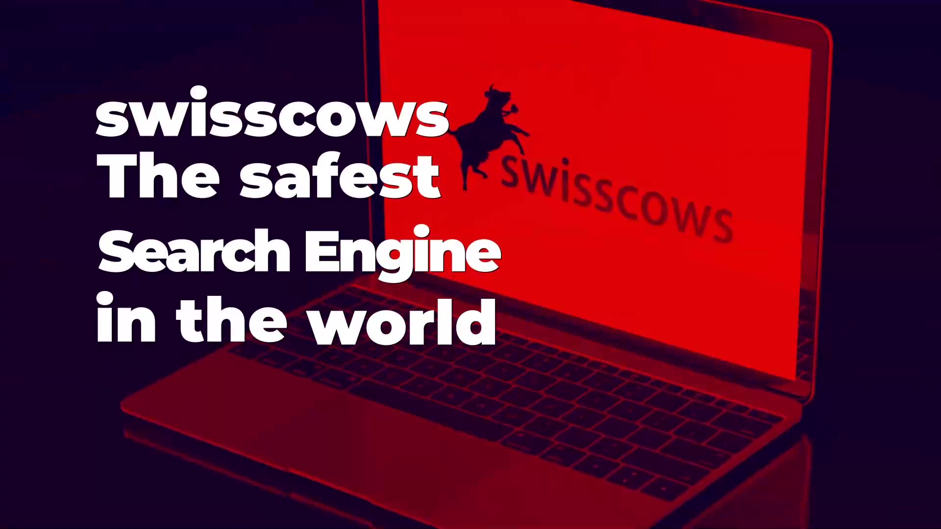 Swisscows - secure alternative to google