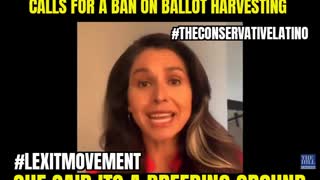Ballot Harvesting Ban
