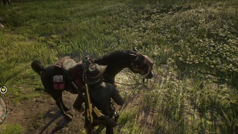 Red Dead Online - Tyrone was right!