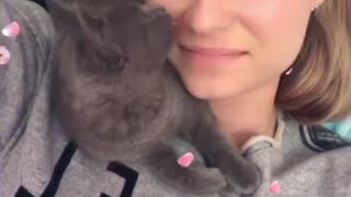 kiss cat watch to the end funny video 2020