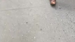 Man drags a milk crate with a string down the sidewalk