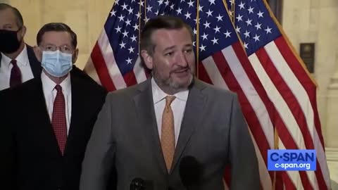 Reporter Tried to Make Ted Cruz Wear a Mask - Watch His Response
