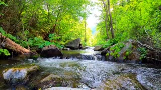 FREE Relaxing Music with Nature Sounds - Water Sound -