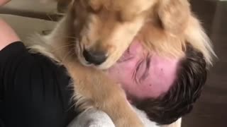 Overly-Affectionate Dog Can't Stop Hugging Owner