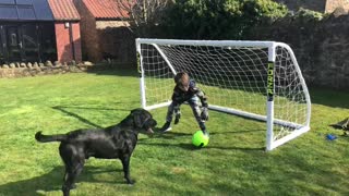 This soccer-loving dog is an extremely prolific striker