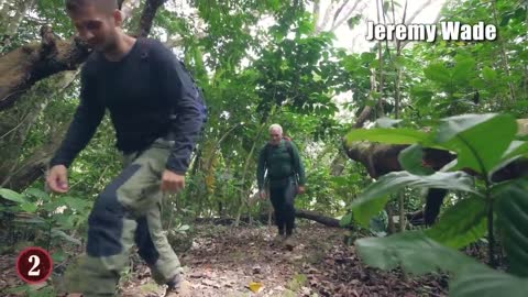 10 most dangerous attacks In amazon jungle