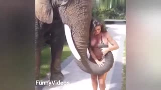 Funny video | Hot girls with Animals.