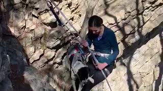 Adventurous pup rappel's down rock cliff for the very first time