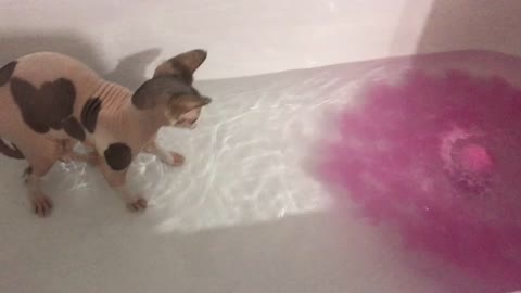 Scared of the bath bomb