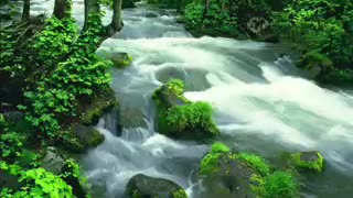 Relaxation Meditation Nature Sounds