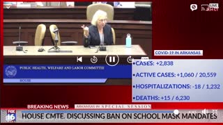 Arkansas House Committee meeting about mask mandates in schools