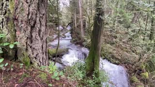 Relax with Beautiful Raging river in Mission British Columbia Canada