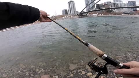 Fishing downtown Calgary