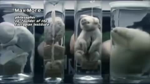 Modern Man playing GOD Gene Edited Designer Babies Transhumanism human animal DNA mixing Hybrids