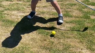 2 year old masters the technique of golf