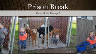 Prison Break - Grandkids Escape!