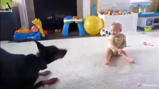 Funny dogs videos playing with kids 2021