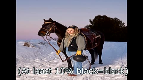 Racism keeps blacks off of horses
