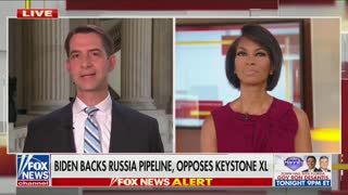Tom Cotton reacts to Nord Stream 2