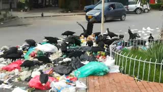 Emergencia por basuras en Girón