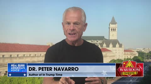 'National Security': Dr. Peter Navarro Explains How To Solve Baby Formula Crisis