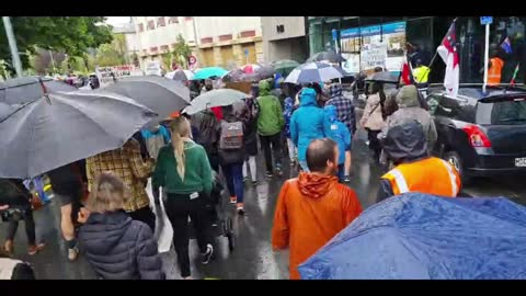 Footage of CHCH protest November 13 2021