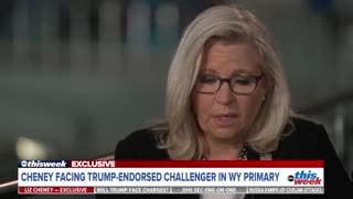 WATCH: Liz Cheney Lets the Truth Slip Out on January 6 Committee