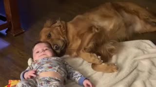 Sweet moment captured on camera between dog and baby