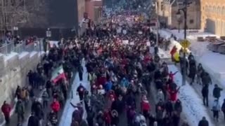 Protest in Canada Against COVID Restrictions
