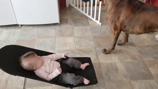 Puppy plays with a baby! Super funny!
