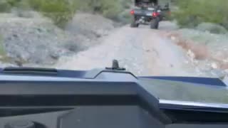 ATV riding in the Sonoran desert.
