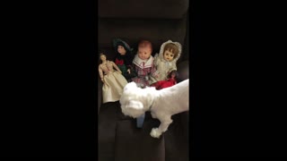 Haunted Dolls Interacting with Dog and Owner