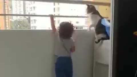 The Cat is Acting as Bodyguard
