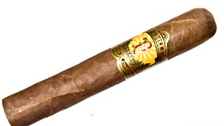 Padilla Habano Robusto Cigar Review